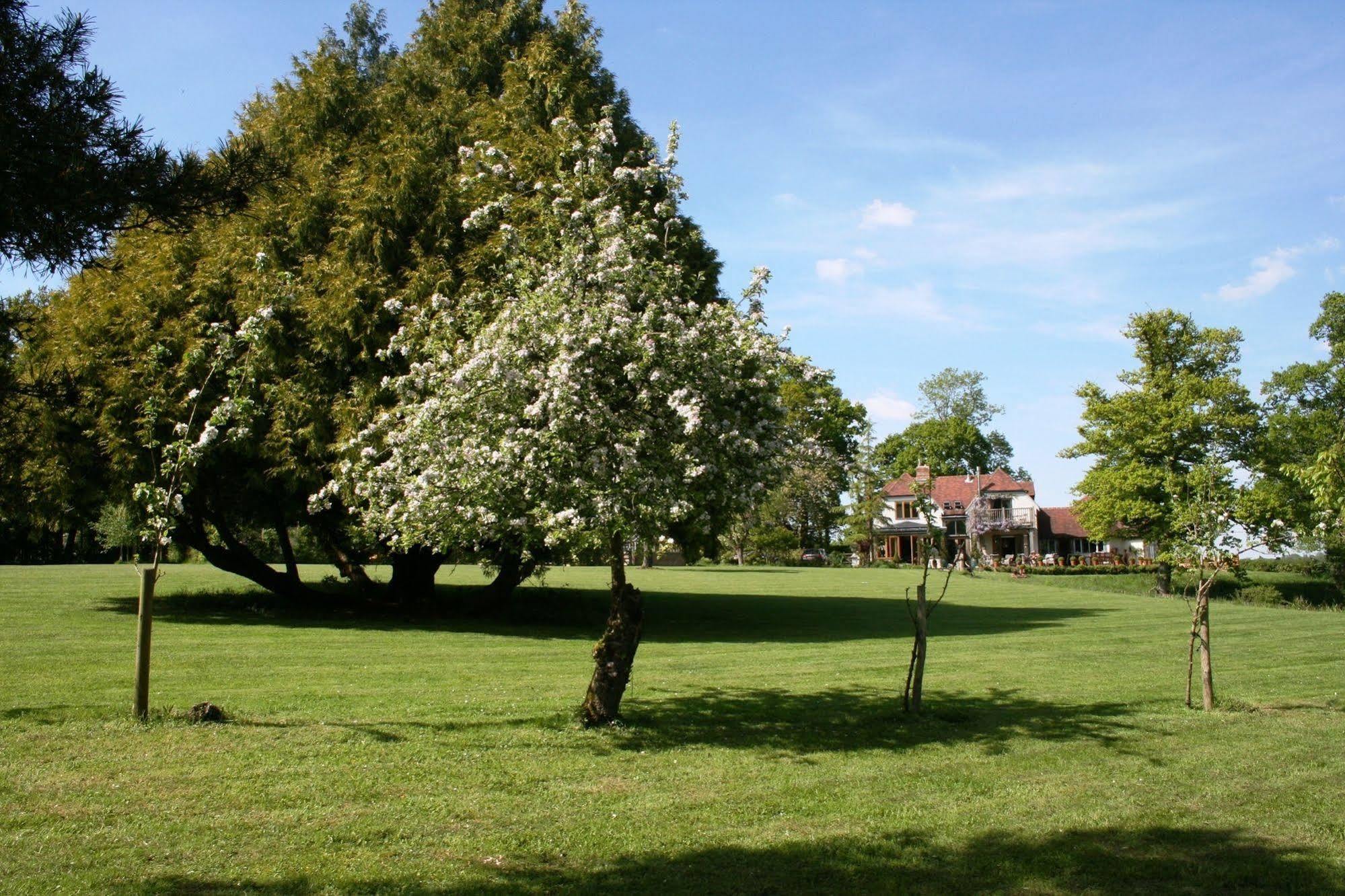 Shoyswell Cottage Hurst Green  Bagian luar foto
