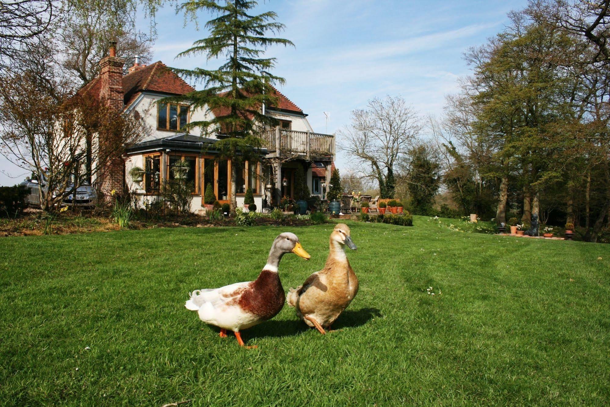 Shoyswell Cottage Hurst Green  Bagian luar foto