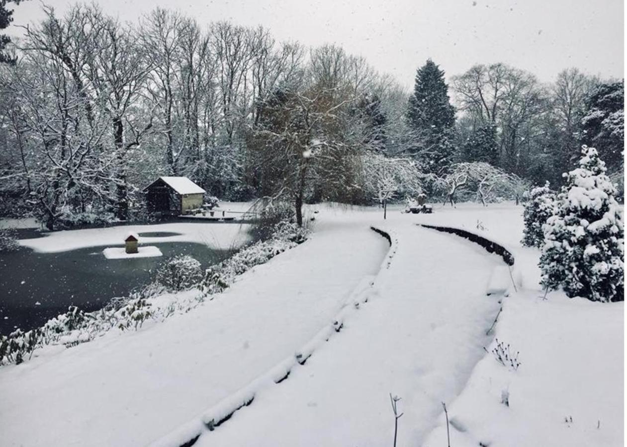 Shoyswell Cottage Hurst Green  Bagian luar foto